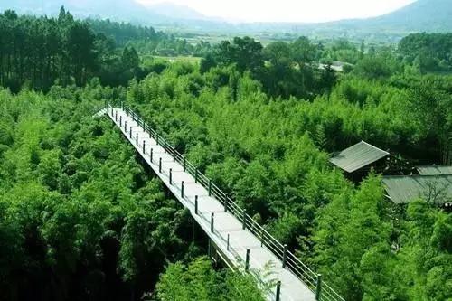 安吉模式探析_建设