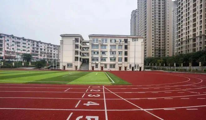 集聚发展优质教育,大力推进8所学校新建改扩建工程,石子山中小学,寸滩