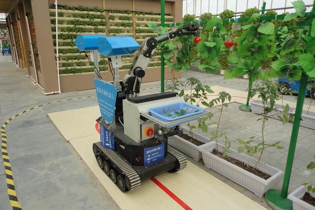 不同作业环境,开发嫁接,扦插,移栽,耕地等2)自动作业辅助机器人技术