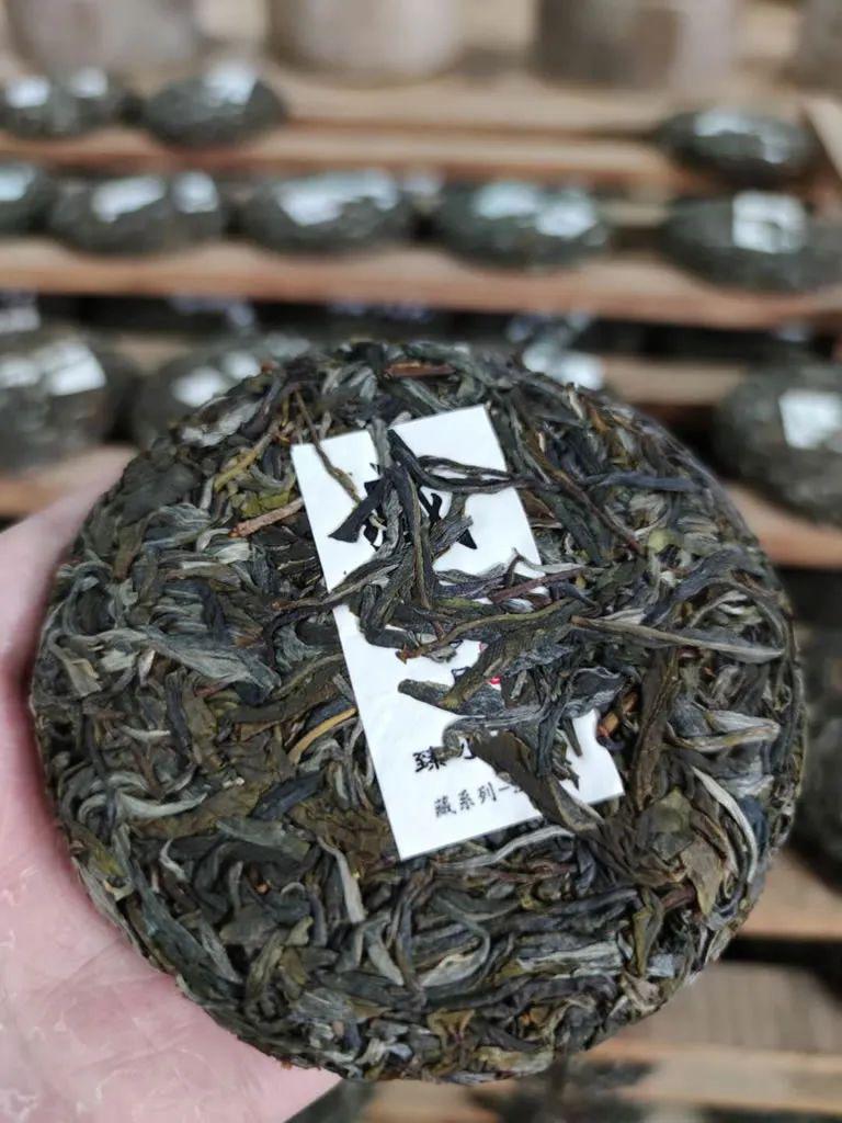 赛冰岛的古树普洱茶小户赛采摘压饼过程见证