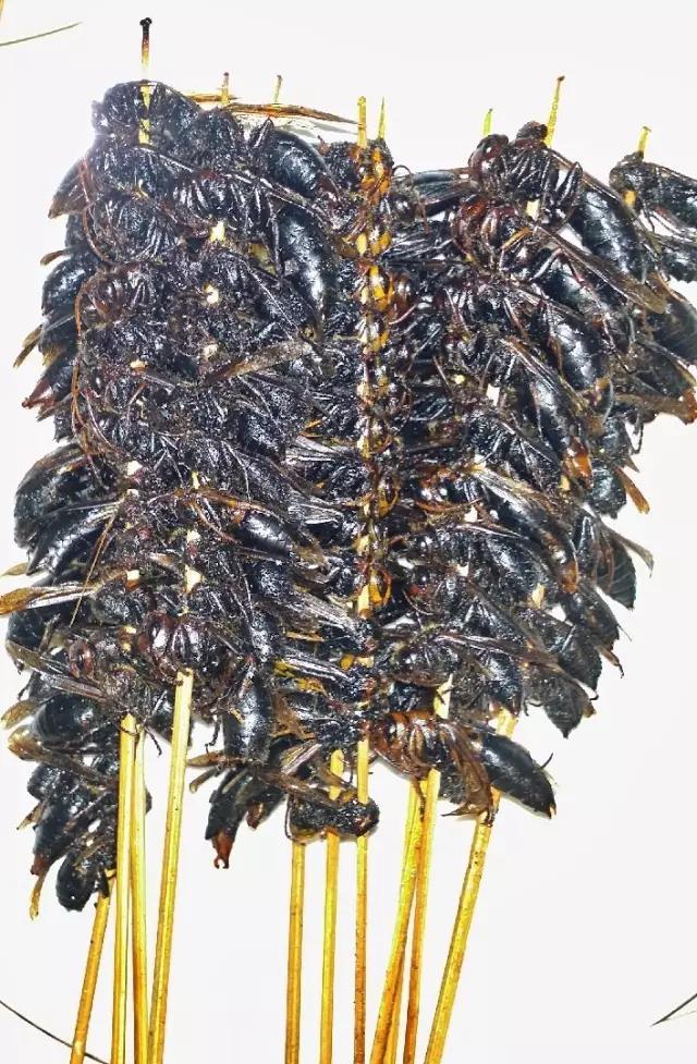 外国美女到元阳梯田,哈尼人让她吃虫子