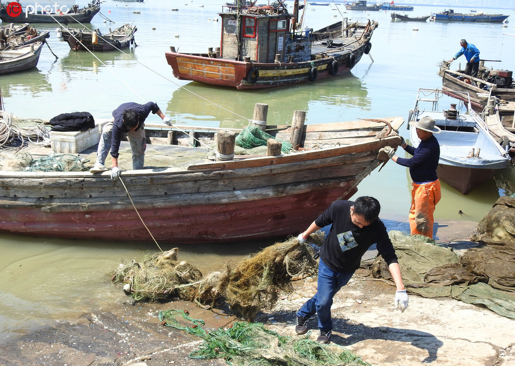 江苏连云港黄渤海东海海域伏季休渔5月1日开始返港渔民准备休渔