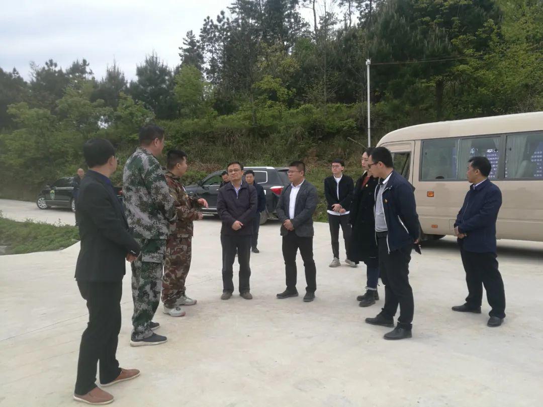 哈思挺一行来沿开展"宣传促消费扶贫"专项调研_沿河