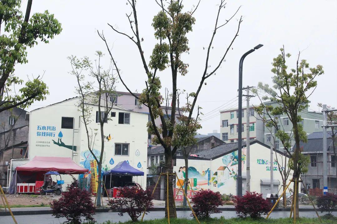 公益广告扮靓示范路(街)为泽雅点赞_新桥街道