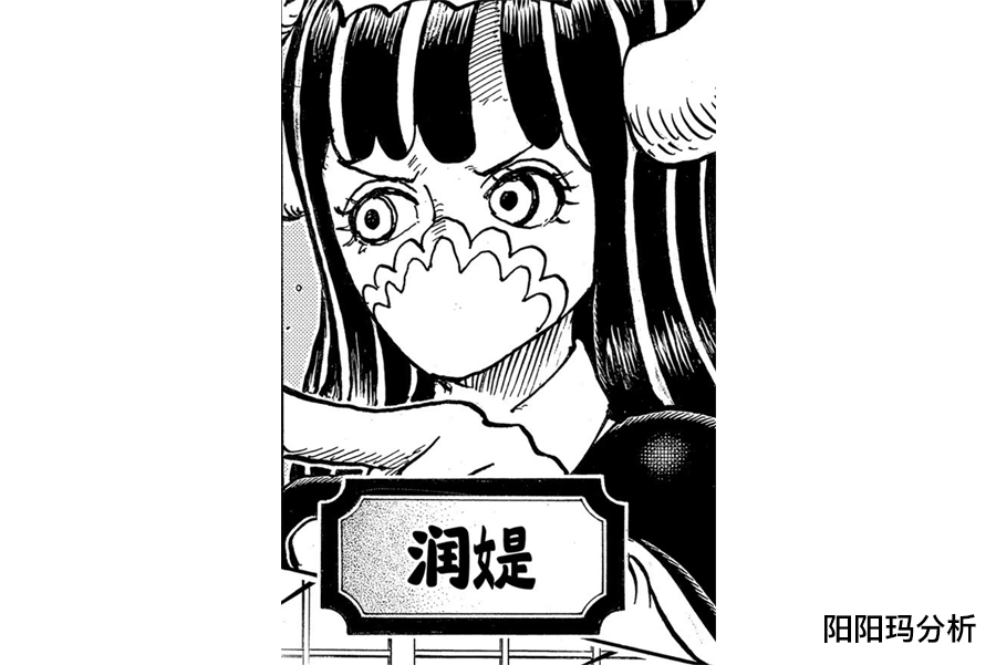 海贼王第978话分析 "术语订正"环节登场