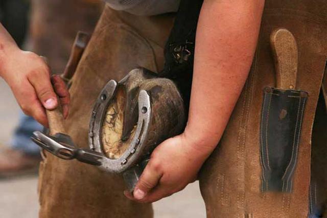 看过庄子马蹄你愿做伯乐还是千里马