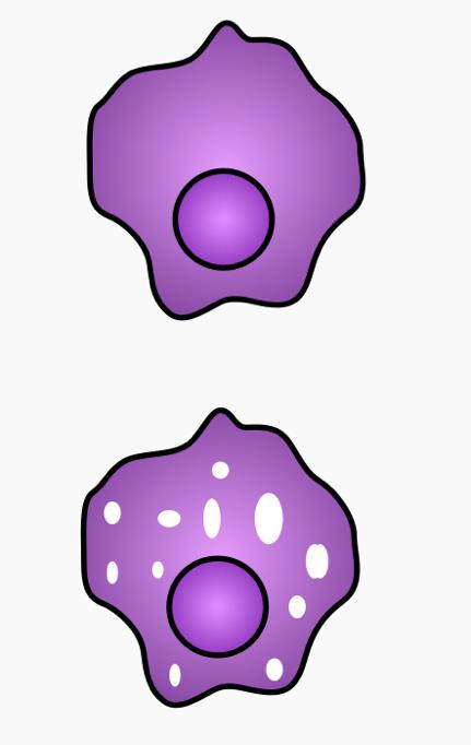 科研绘图炎症中心作用的白细胞介素3