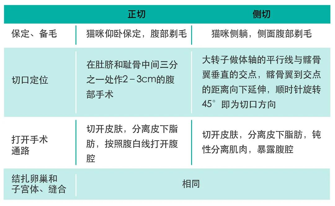 原创母猫绝育手术到底是正切好还是侧切好