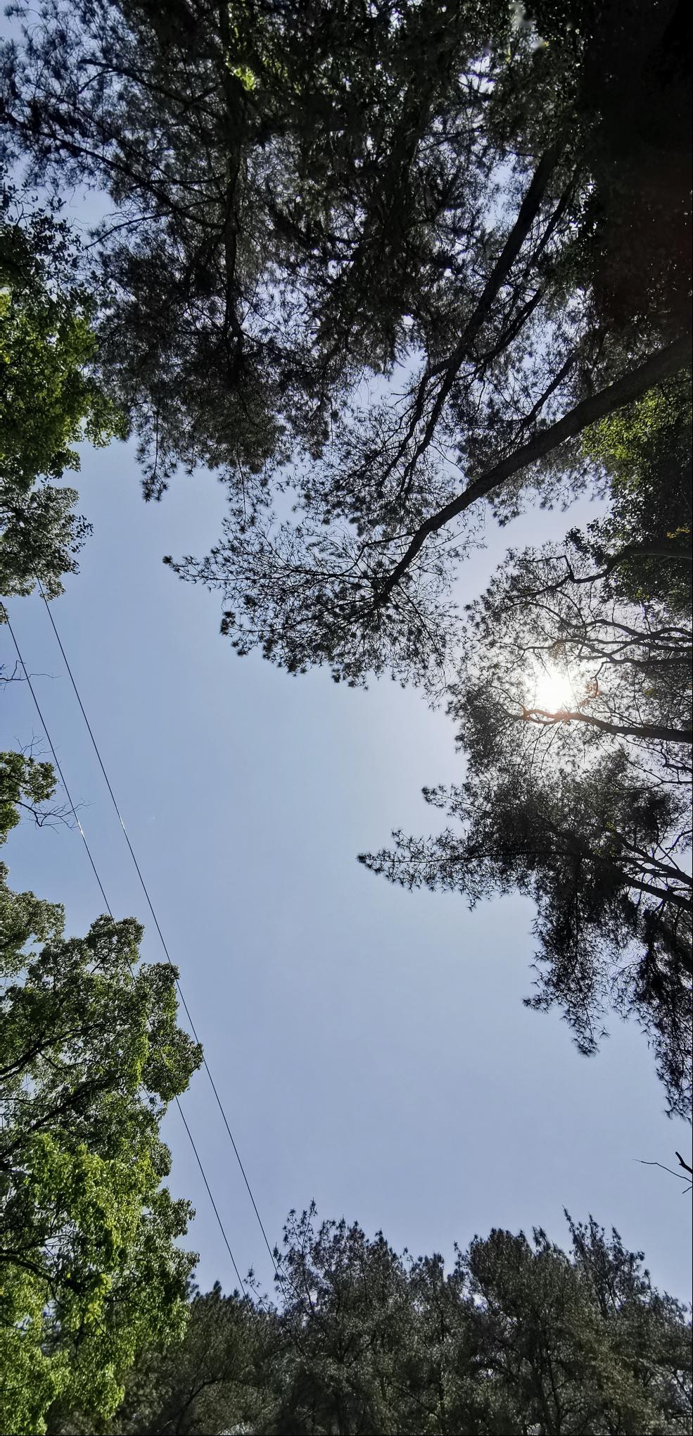 【天气】夏天来了!预计我区明日气温达32