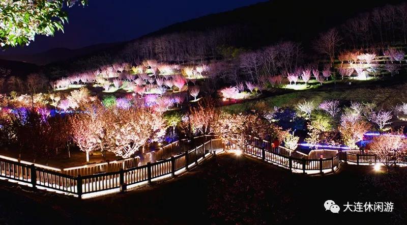 旅顺口203樱花园门票:30元自驾:导航