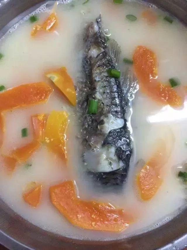 魚湯怎麼燉白燉魚湯的家常做法