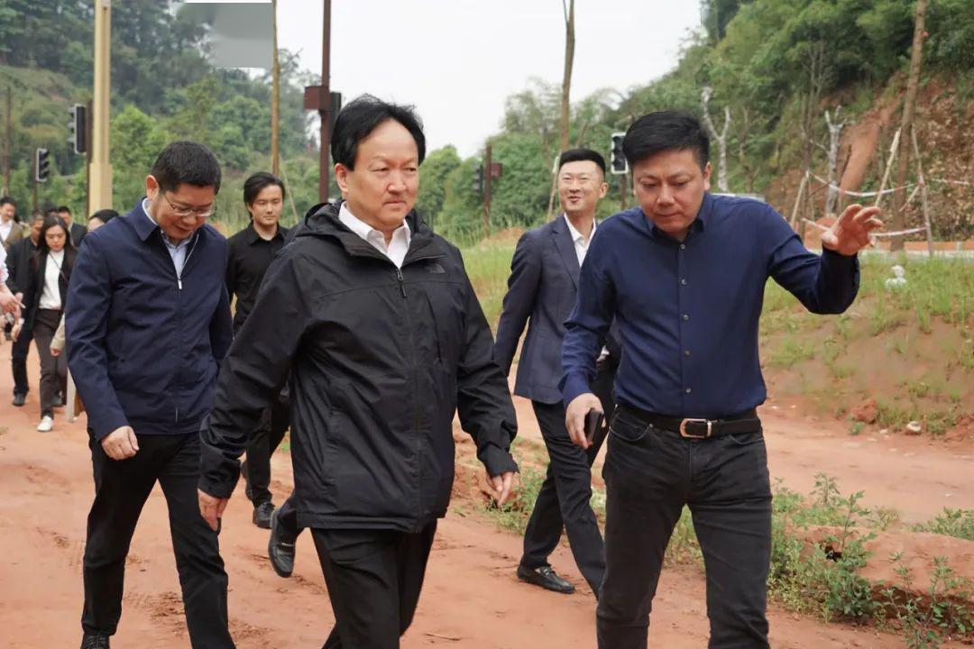 精心谋划 科学布局 打造亮丽"风景线"_乐山大佛