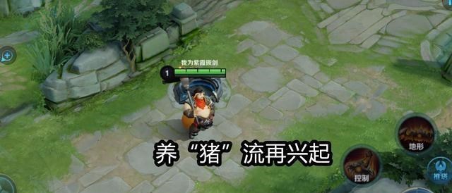 kpl职业选手带头王者荣耀养猪流再兴起这次养的不是孙尚香