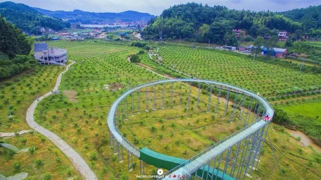 欢度五一61清心桃源￥158起三明大田桃源里花海乐园大仙峰茶天下