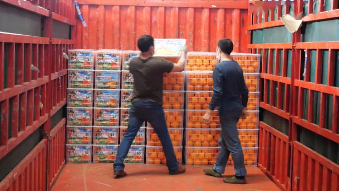 【湖北橙子来嘉兴了】一共两车4万斤 全被秒杀_脐橙