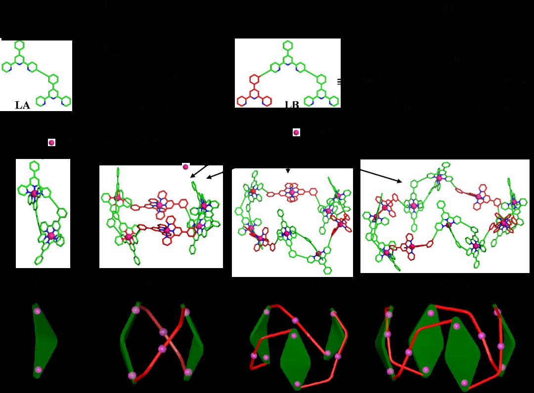 空間受限三聯吡啶配體及組裝體結構最近,吉林大學王明教授團隊提出