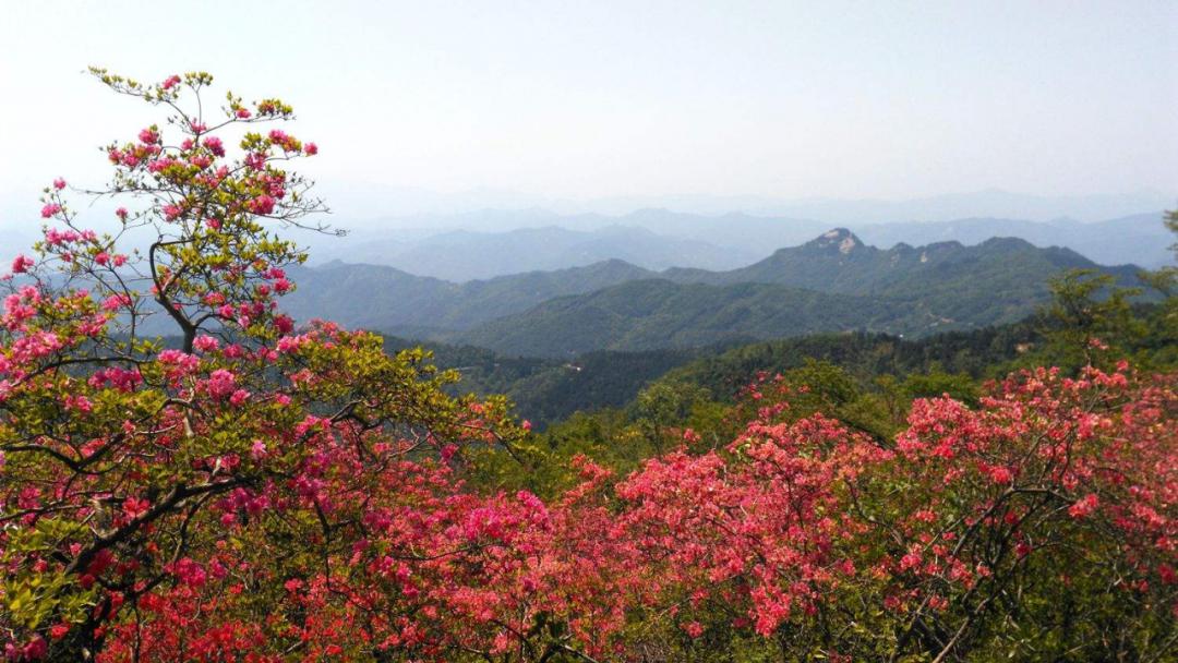 人間仙境中原二龍山風景區青山如黛雲蒸霞蔚鎮平人一起來尋找安寧靜謐