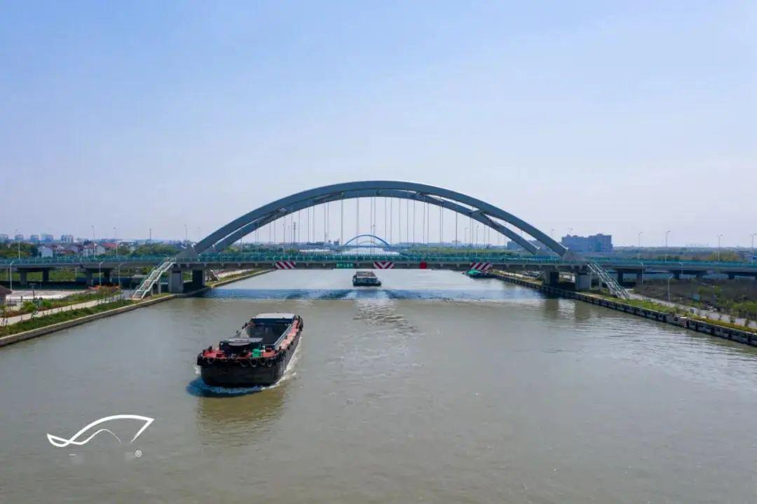 上海南汇大治河图片