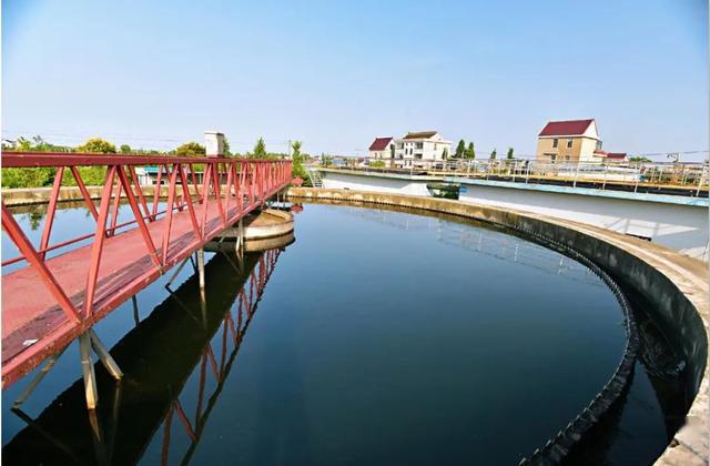 攻坚一线 | 如皋白蒲:巧用"五字诀",匠心打造运河风景线