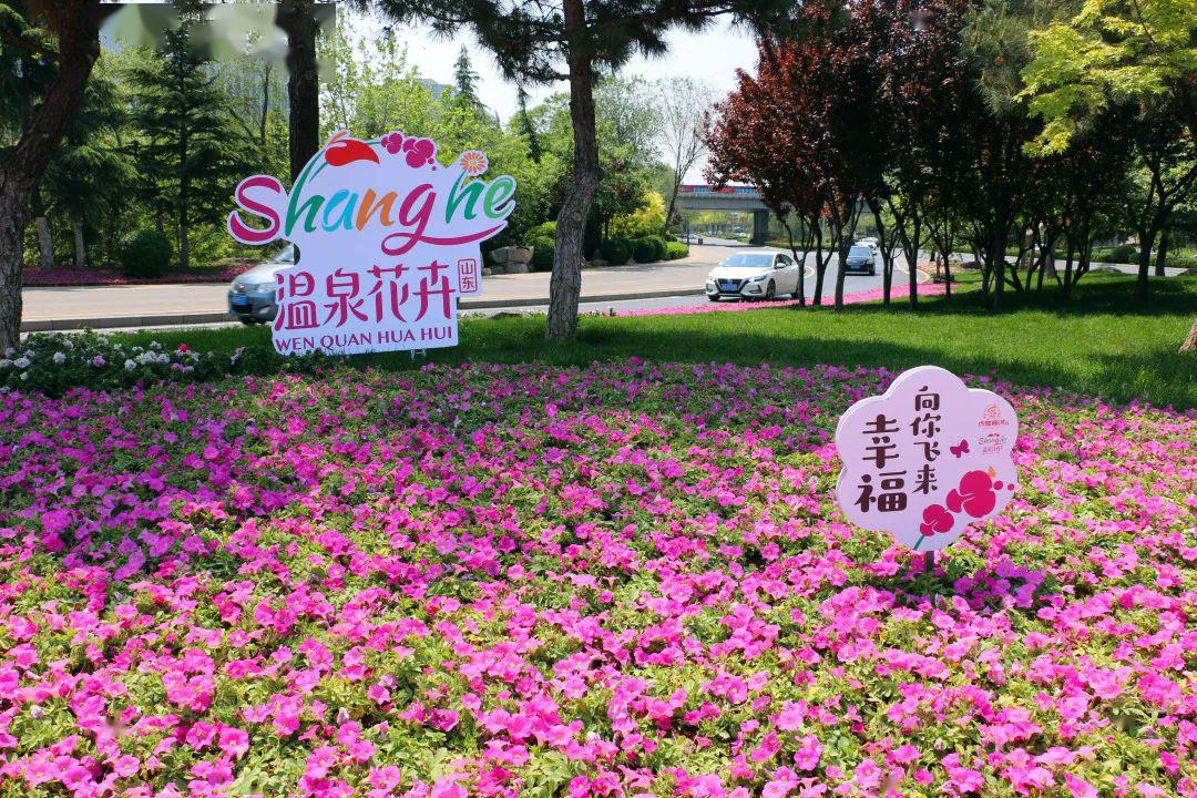 我们约卉吧商河温泉花卉扮靓济南大街小巷