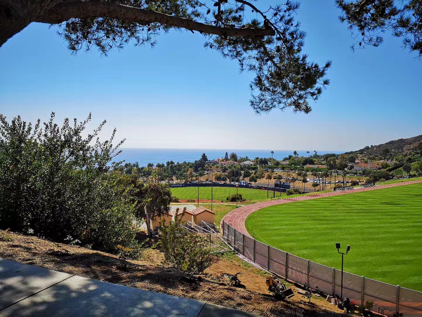 美国大学排名2020计_2020年美国大学商学院研究生排名应该慎重的来看(2)