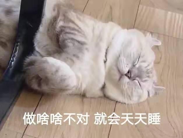 原创十条笑话:多少年了,我都没见过老爸这样的表情