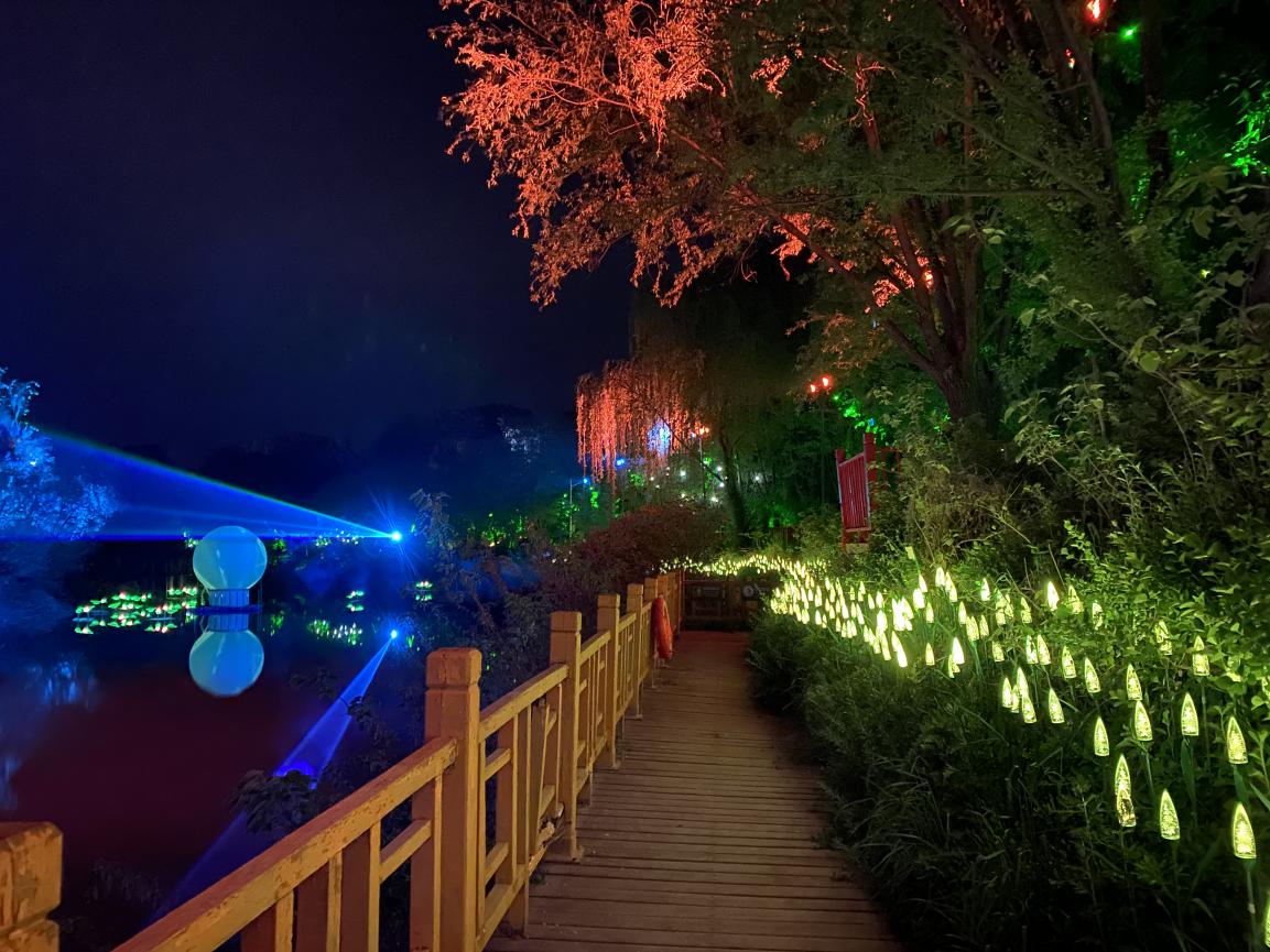 星星花海童话森林诗意不必远方郑州这个奇幻之地你去过吗今晚约