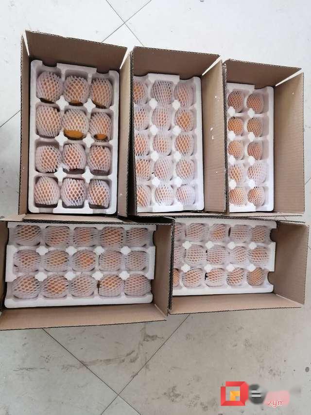 图:装箱准备快递的枇杷新桥镇介绍,今年枇杷刚上市时,最高价28元/斤