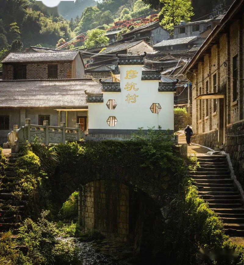 初夏走进嵊州市北漳镇彦坑村