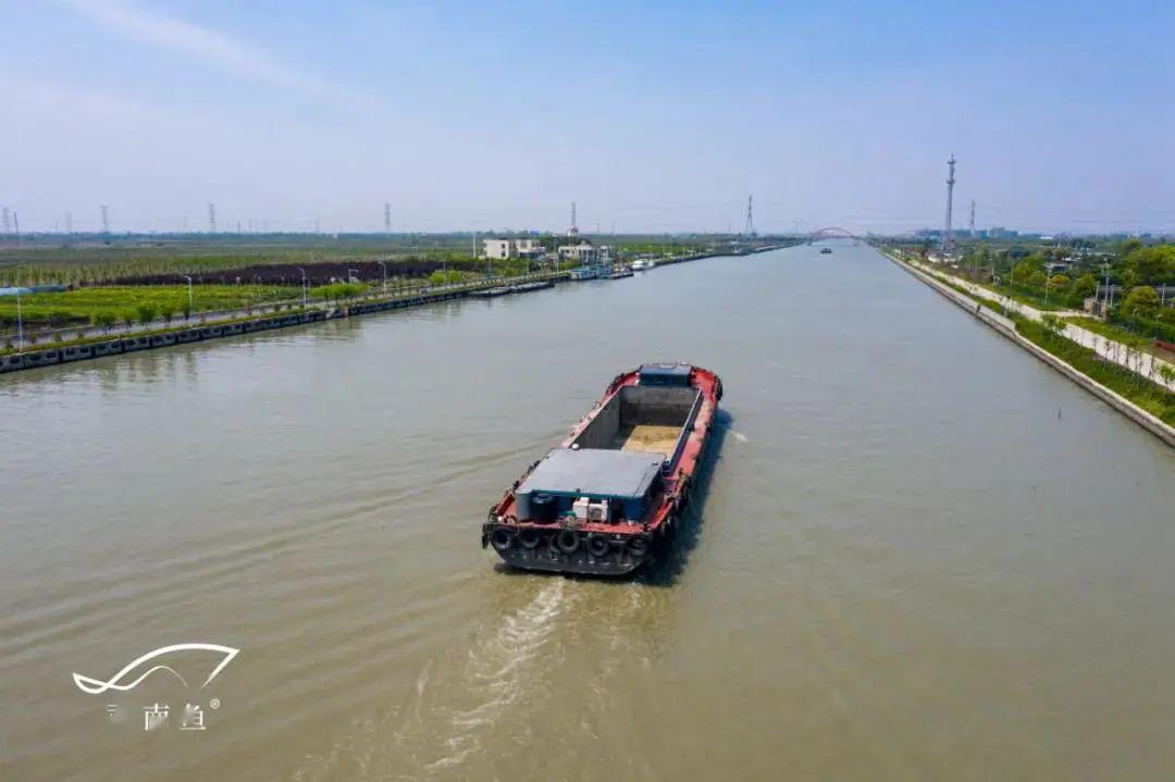 上海南汇大治河图片