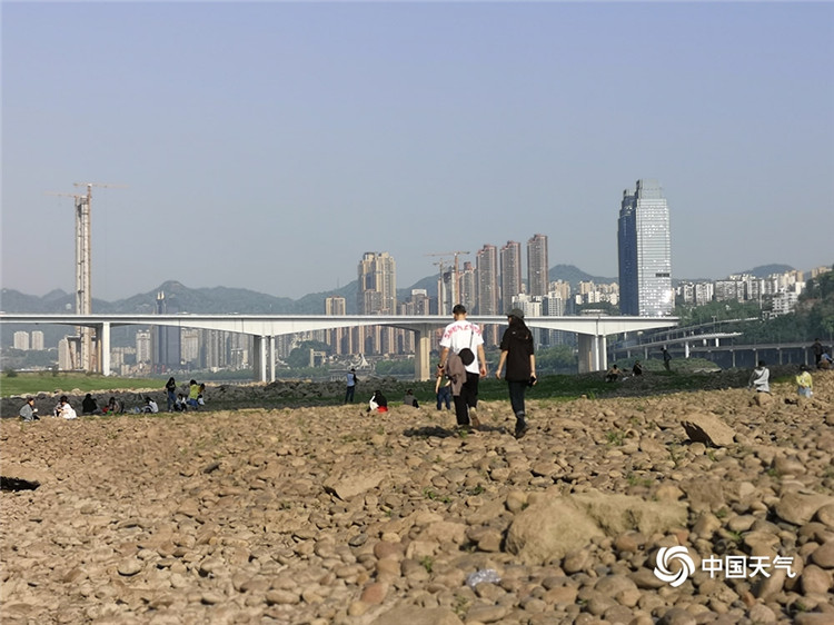 长江重庆段迎枯水期珊瑚坝河床大面积裸露