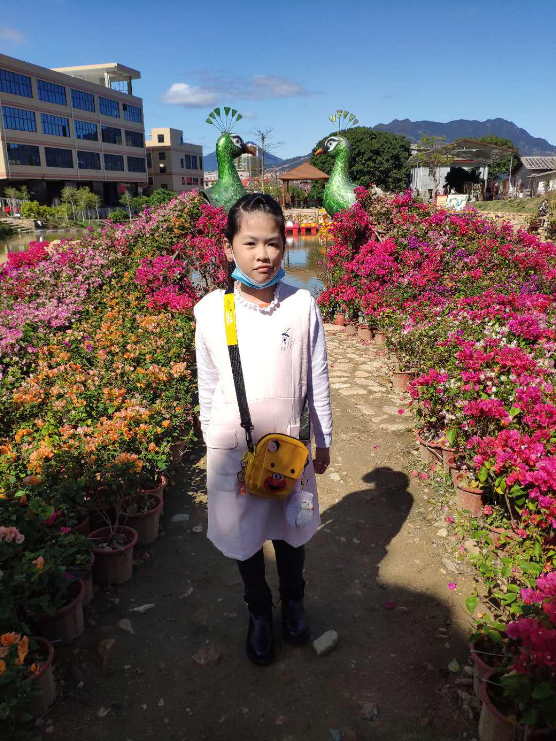 作文直播课|王梓怡:有趣的数字