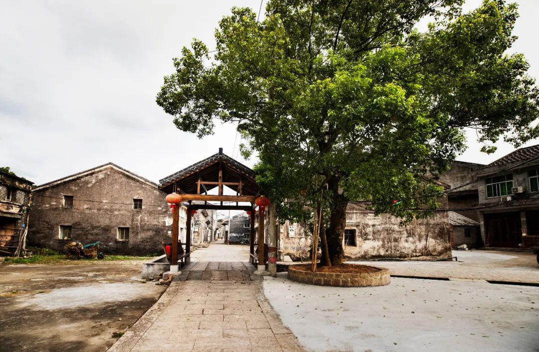 平阳山咀头村图片