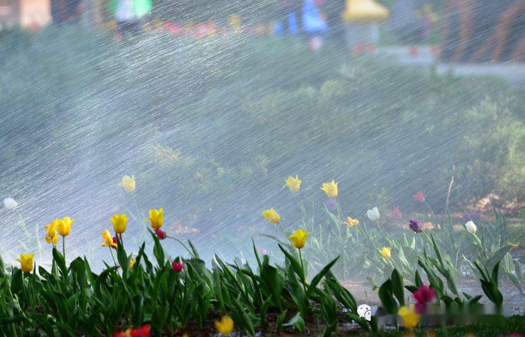 春雨绵绵如何才能拍出雨中美景