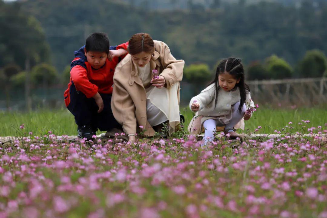 五一旅行最適合親子游玩的體驗地五一假期還有優惠