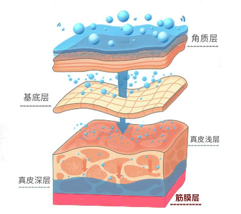 常規方法和產品一般作用到 表皮層 和 基底層 ,抗衰效果不盡如人意.