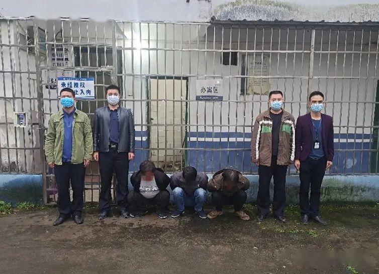 桂林一树林内大叔大妈卖淫嫖娼,被抓现行!_全州县