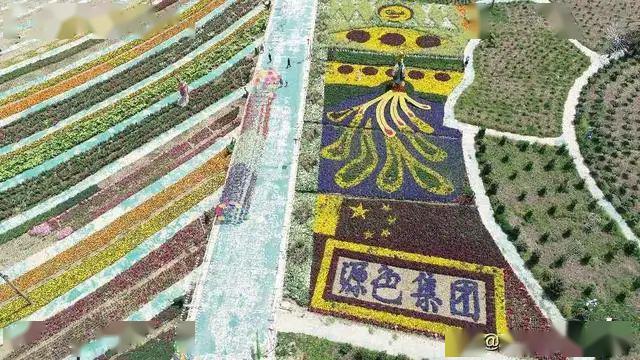 五一就在家门口看百花展吧!还有._景区