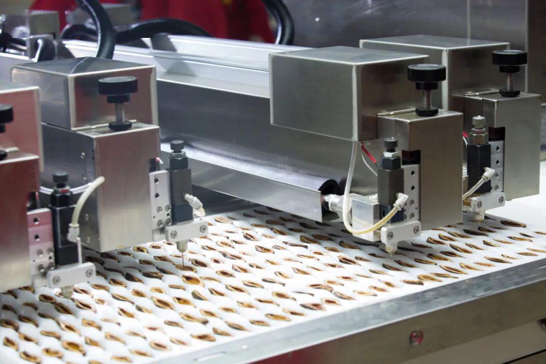 生活频道走进伍子醉文化馆了解槟榔的前世今生文末送槟榔