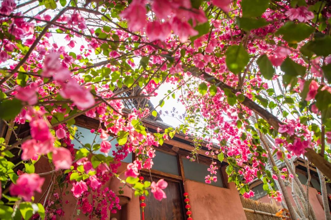 绿都景谷佛迹仙踪熙康云舍养生乐园