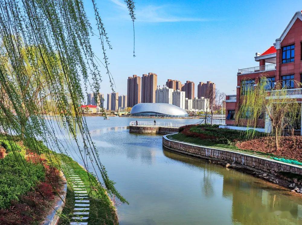 《月湾湖春色》 作者:蒋素琴《花开富贵》 作者:卫永强《春天的故事》