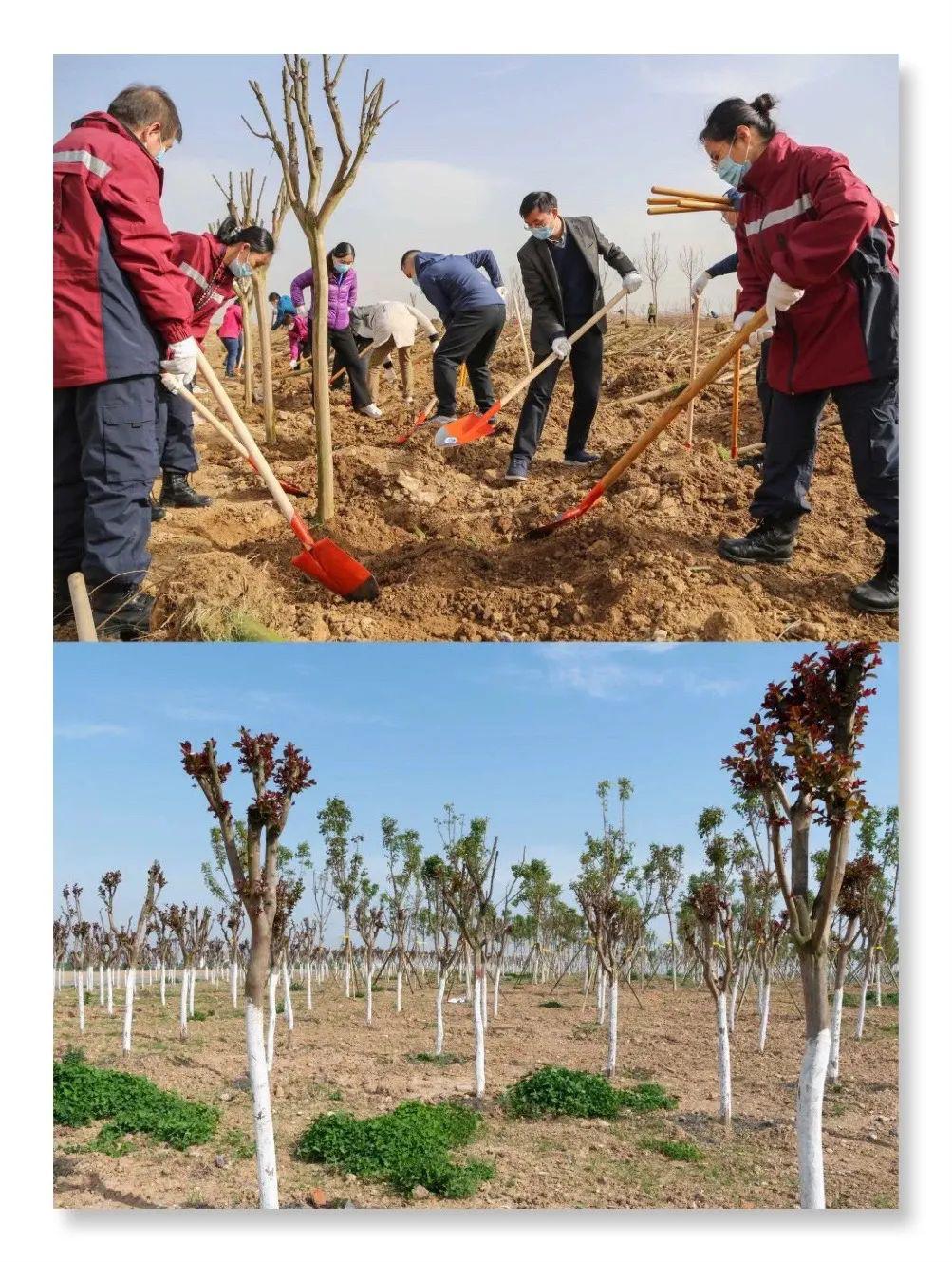 辽宁林,绿了!_襄阳市