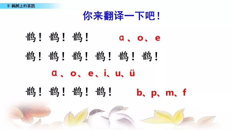 部编版二年级下册第9课枫树上的喜鹊图文讲解知识点梳理