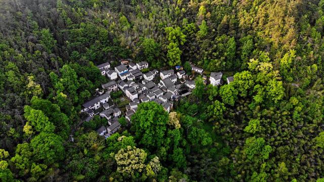 探秘安徽深山里的无人村堪称世外桃源一北京小哥隐居在此