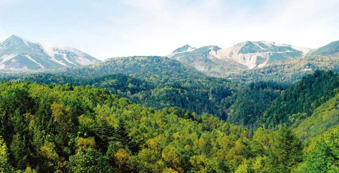 你我他我们都要为森林防火作出努力