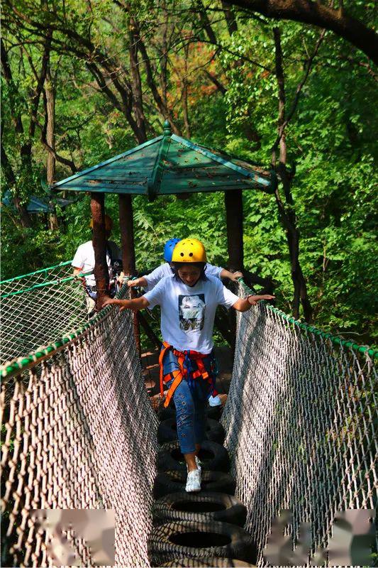 穿越丛林空中拓展高空滑索树冠漫步玻璃栈道悬崖玻璃滑道高空探险欢乐