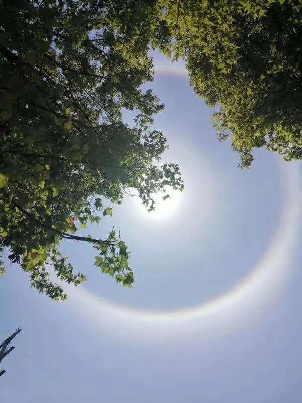 有人拍下这样的画面……_太阳