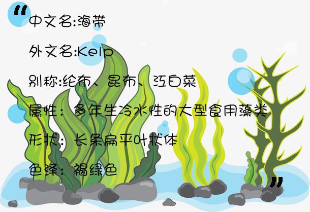 科普海带海藻海草你分得清楚吗