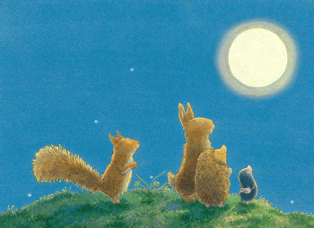 4月27日 这个小家伙儿的故事,让心慢慢柔软下来