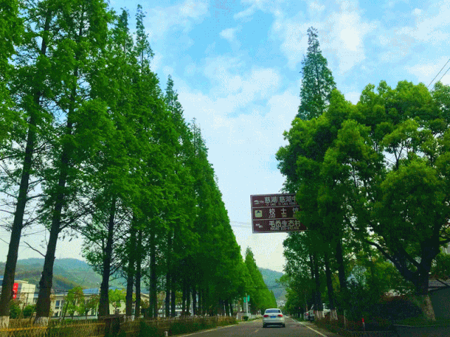 山路十八弯后的"豁然开朗"迫不及待地跑来安利给你们这不,前不久就